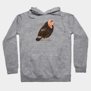 California Condor Hoodie